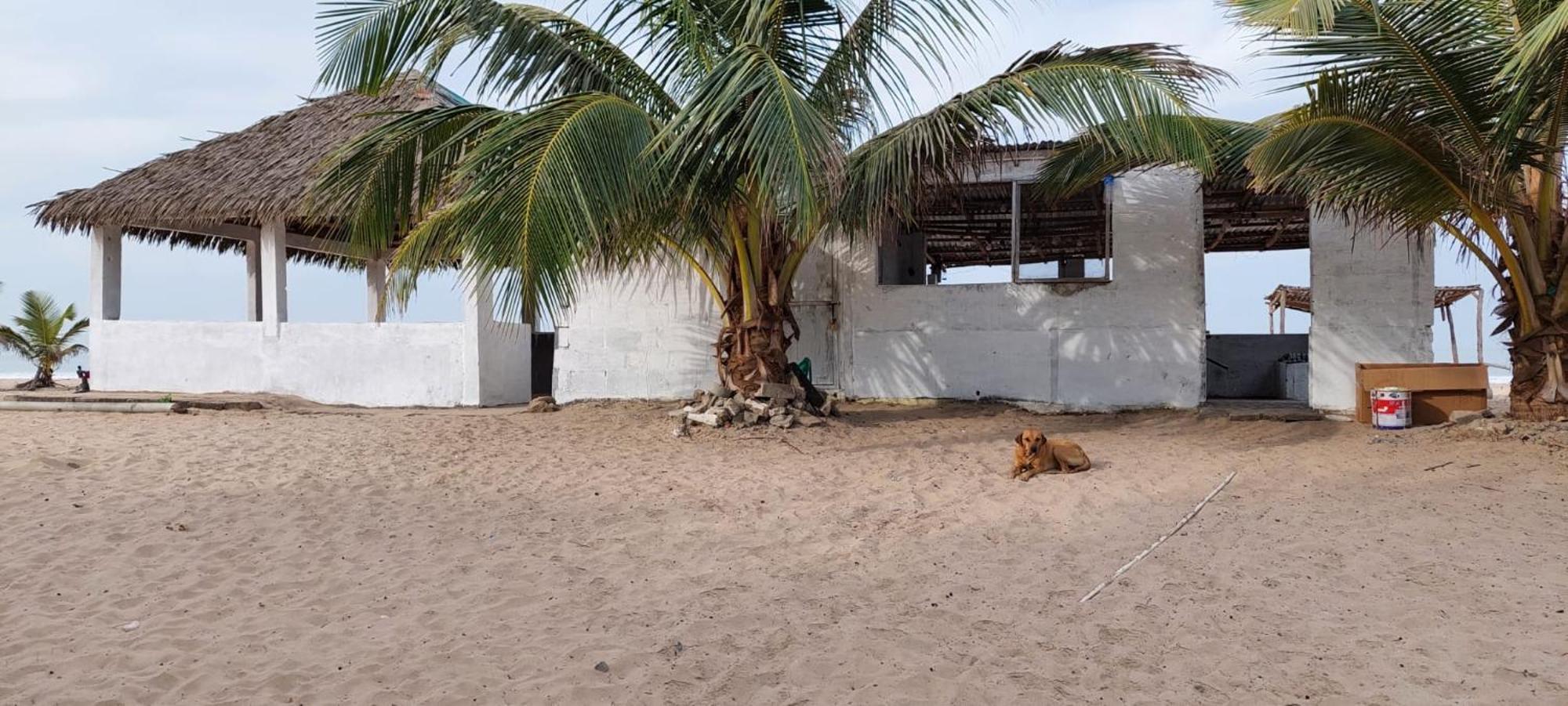 Mangrove Beach Sanyang Exterior foto
